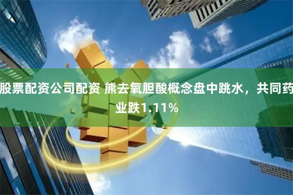 股票配资公司配资 熊去氧胆酸概念盘中跳水，共同药业跌1.11%