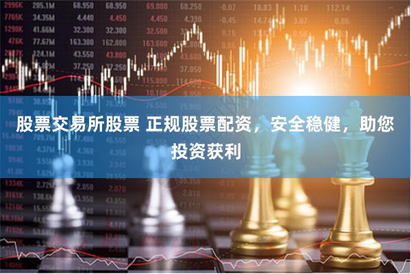 股票交易所股票 正规股票配资，安全稳健，助您投资获利